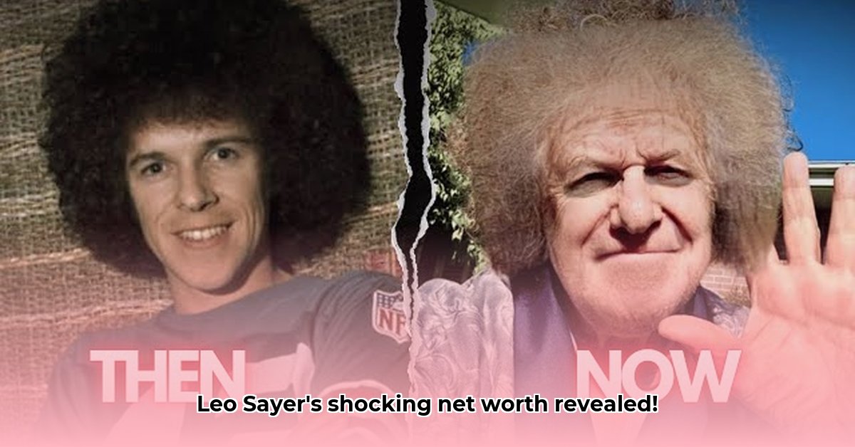 leo-sayer-s-career-earnings-and-wealth
